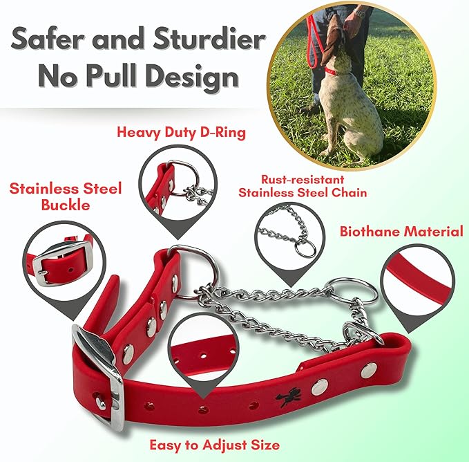 Martingale Collar for Dogs, Biothane, Stainless Steel Hardware, No Pull, Made in The USA, Professional Grade, XXS, Red