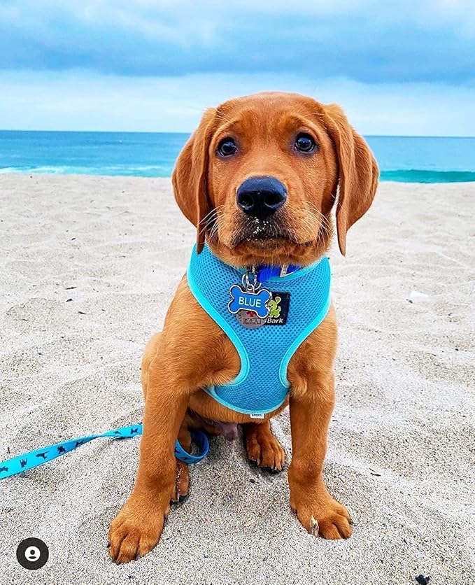 EcoBark Dog Harness - Luxurious Soft Mesh - Eco-Friendly Over The Head Vest Harness - No Pull & No Choke Design - Padded Breathable Body Halter - Large Puppies & Medium Breeds (Blue, XL)