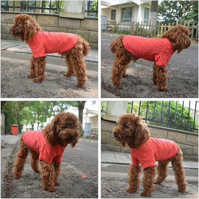 Lovelonglong Pet Clothing Dog Costumes Basic Blank T-Shirt Tee Shirts for Small Dogs Lobster Pink M