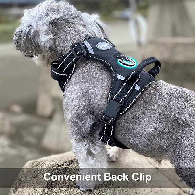 No Pull Dog Harness, Reflective Walking Dog Harness with Easy Control Handle and Front & Back Clips,Adjustable Breathable Soft Padded Dog Vest Harness for Large Medium Small Dogs,Black,M