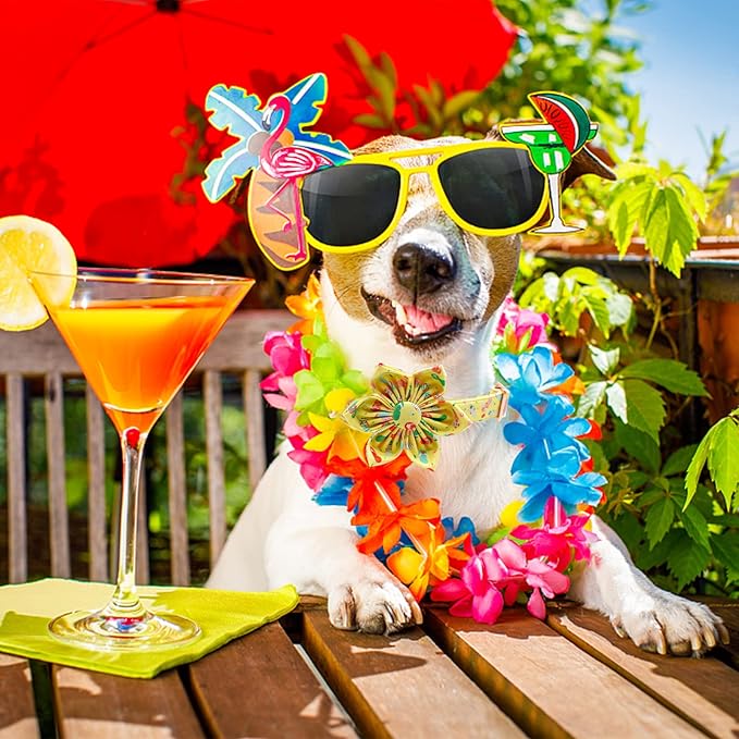 Elegant Little Tail Flower Collar for Small to Large Dogs