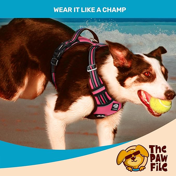 Dog Harness and Leash Set - No Pull Vest & Reflective Leash with Foam Handle, Adjustable Oxford Halter, for Walking & Training - Includes 150 Poop Bags & Bone-Shaped Dispenser - Pink, S