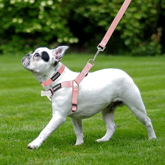 No Pull Dog Harness - Adjustable Step-in Harness & Leash Set for Small, Medium, Large Dogs - Escape Proof Soft Pet Harness for Walking, Training, Hiking, Outdoor Activities