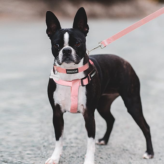 No Pull Dog Harness - Adjustable Step-in Harness & Leash Set for Small, Medium, Large Dogs - Escape Proof Soft Pet Harness for Walking, Training, Hiking, Outdoor Activities