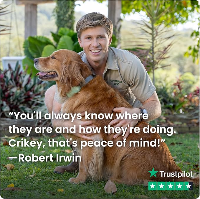 Tractive XL GPS Dog Tracker (50 lbs+) | Real-time Pet Location Tracker | Health & Wellness Alerts | Virtual Fence for Dogs | Dog Collar Attachment (Green)