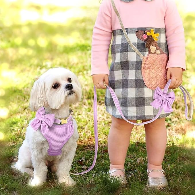 Didog Cute Small Dog Harness Collar & Leash Set, Adjustable Dog Collars and Leashes with Bowtie, Breathable Soft Mesh Padded Dog Vest for Puppies Small Dogs Walking, Purple, M