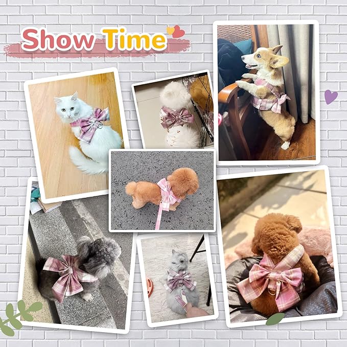 Small Dog Harness with D-Ring, Soft Mesh, Adjustable - Set Includes Puppy Pet Harness and Leash