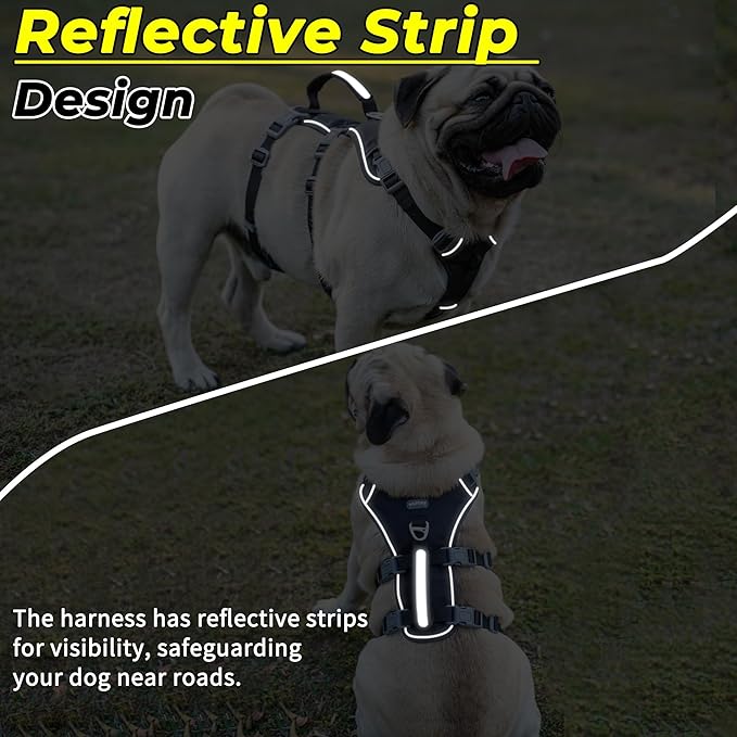 Escape Proof Dog Harness and Leash Set, Lightweight Dog Harness with Lift and Assist Handle, No Pull Reflective Pet Vest for Small Medium Dogs, Ideal for Puppy Walking and Training (Black,XS)