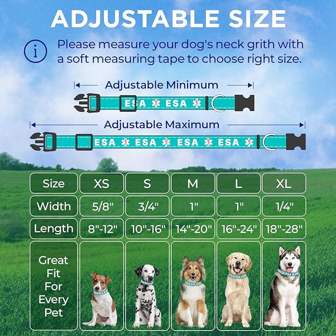 TECEUM Reflective Pet Collar – Teal - ESA – XL – Extra Soft Padding – Basic Nylon Dog Collar – Quick Release Buckle – Fits Small, Medium and Large Dogs, Puppies, Cats – ESA & Service Dog Options
