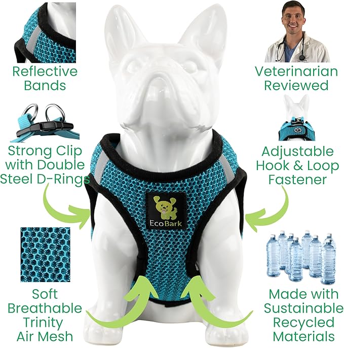 EcoBark Step in Dog Harness - Eco-Friendly Small Breed Dog Harnesses for Toy Breed Dogs - Reflective and Adjustable Mini Body Halter Vest - Soft Mesh Toy Breed Harness (Aqua Blue, Small)