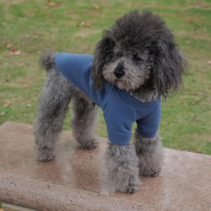 Lovelong Dog Sweatshirt - Cold Weather Pullover for Small, Medium & Large Dogs - Autumn & Winter T-Shirts - Haze-Blue
