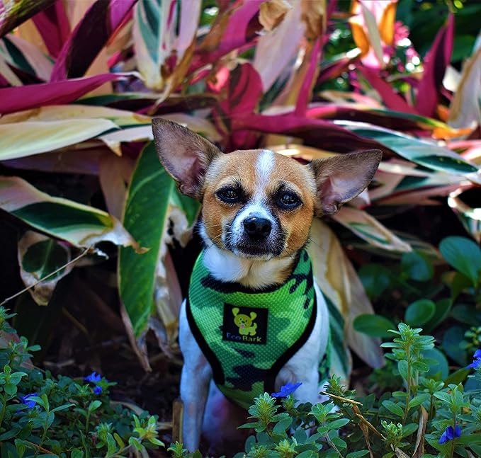 EcoBark Dog Harness - Eco-Friendly Max Comfort Harnesses - Luxurious Soft Mesh Halter - Over The Head Harness Vest- No Pull and No Choke for Puppy, Toy Breeds & Small Dogs (Small, Camo)