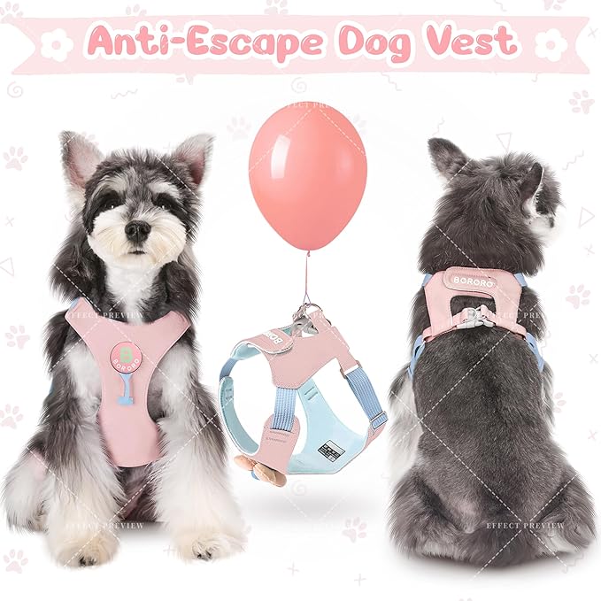 Dog Harness and Leash Set with 2 Flower Patches, No Pull Adjustable Puppy Harness, Step in No Chock Dog Vest for Small Medium Dogs Puppy and Cats(Pink, M)