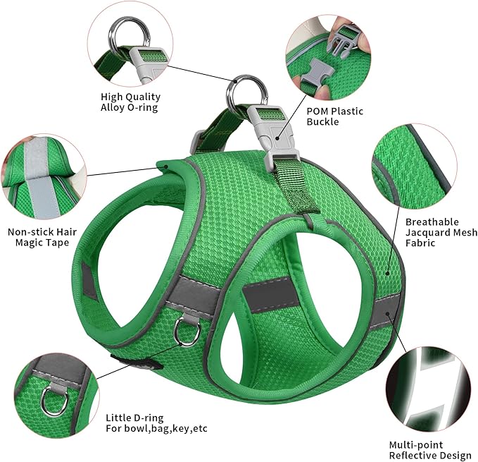 AIITLE No Pull Dog Harness and Leash Set, Step in Adjustable Dog Harness with Padded Vest for All Weather, Reflective Pet Harness, Easy to Put on Small Dogs Green S