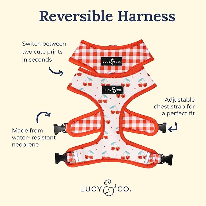 Lucy & Co. Cheery Cherries, Cute Reversible Dog Harness Walking Halter - Best Designer Pet Harnesses for XS - XL Dogs - Padded Adjustable Vest for Easy Walking (Medium)