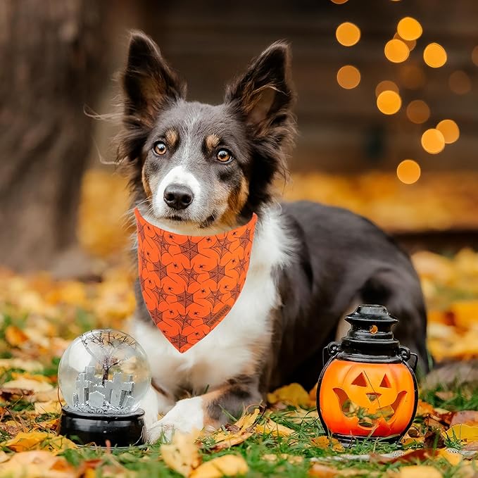 ADOGGYGO Halloween Dog Bandana, Spider Web Ghost Pet Scarf, Premium Durable Fabric, Orange Halloween Bandanas for Medium Large Dogs Pets (Large)