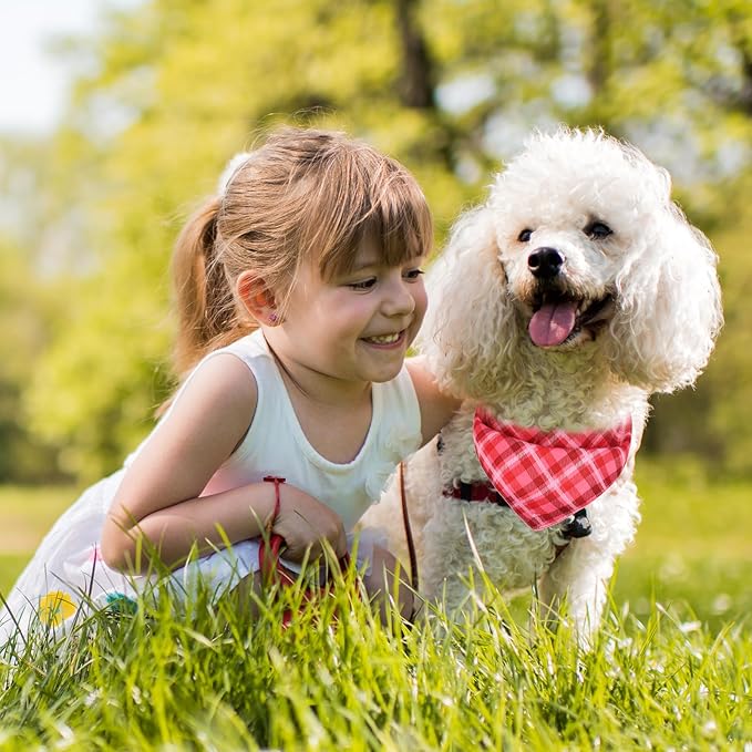 PAWCHIE Dog Bandanas Small Reversible Styles Pet Triangle Scarf Bibs - Adjustable with Two Snaps - Kerchief Set Accessories for Dogs, Puppy, Cats, L