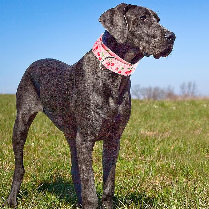 Martingale Dog Collar 1.5 Inch Wide - Pink Cherry Blossom Adjustable Nylon No-Pull Training Collar for Large Dogs, Secure Design for Walking, Hunting & Outdoor Use (Medium)