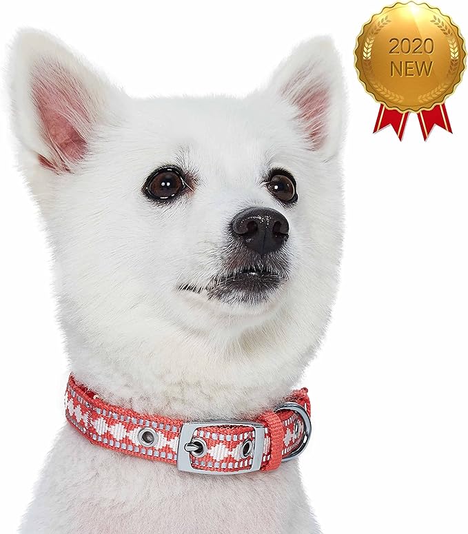 Blueberry Pet Soft & Safe 3M Reflective Jacquard Neoprene Padded Adjustable Dog Collar with Metal Buckle - Coral, Neck 9-12.5", for Small Breed