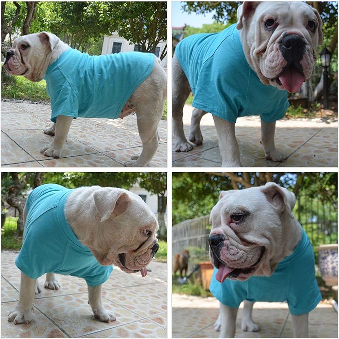 Lovelonglong Pet Clothing Dog Costumes Basic Blank T-Shirt Tee Shirts for Small Dogs Turquoise XS