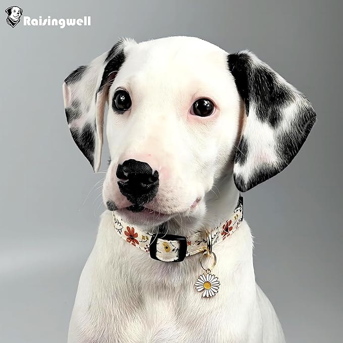 Cute Dog Collar Beige Flower Pattern for Boys and Girls Holiday Dog Collars Summer Fall Gift Adjustable for Medium to X-Large Breed Dogs (L)