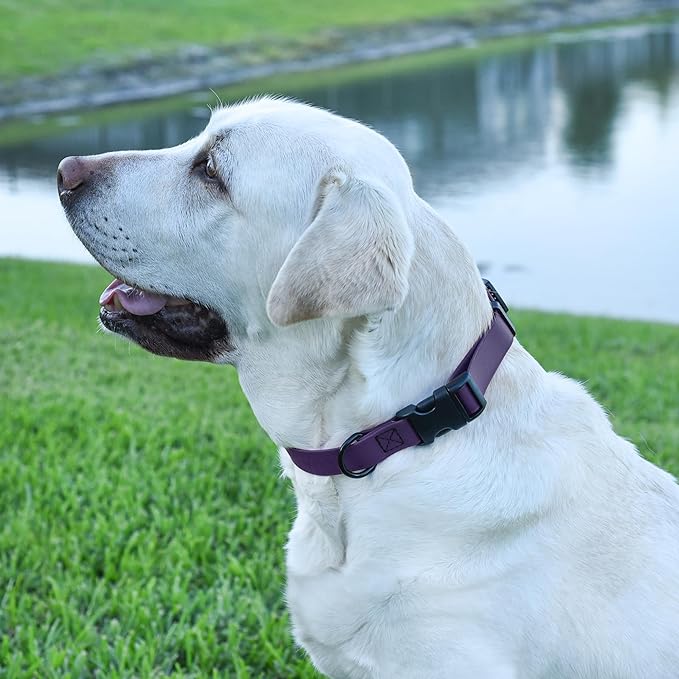 Dogline Biothane Waterproof Dog Collar with Quick Release Buckle Strong Coated Nylon Webbing with Odor- Proof for Easy Care Easy to Clean Fits Small Medium Large Dogs, Purple 1" W 15-23" L