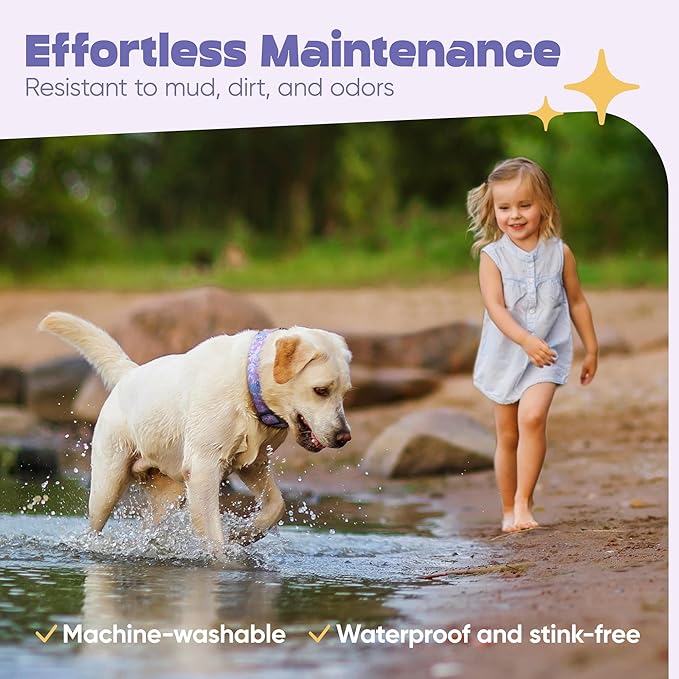 Dog Collar for Medium & Large Dogs - Flowers Cotton Padded Pattern on Long Lasting, Adjustable, Strong and Durable Collars - Choose from Stunning Patterns and Colors