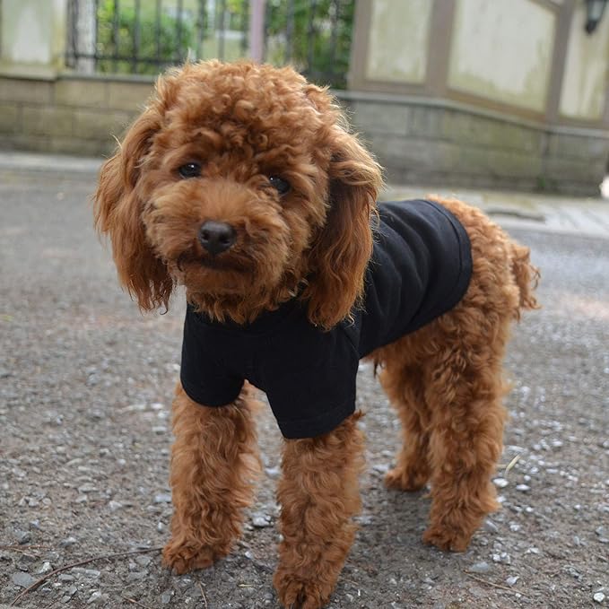 Lovelonglong Pet Clothing Dog Costumes Basic Blank T-Shirt Tee Shirts for Small Dogs Black S