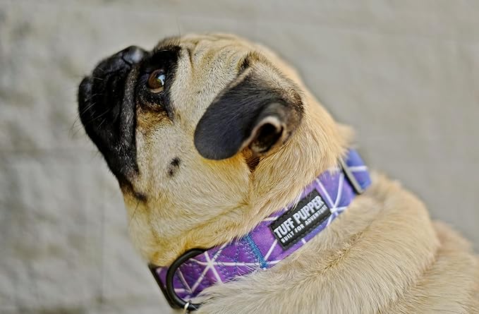 Tuff Pupper Premium Adjustable Dog Collar for Medium Girl Dogs, Stylish Pattern Collars Designed in USA, Quick Release Buckle, Supernova Print for Female Dogs, Medium (1 Inch Wide x 13-18 Inch Neck)