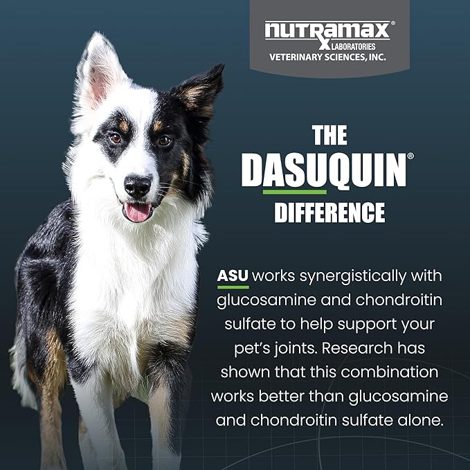 Nutramax Laboratories Dasuquin Joint Health Supplement for Small to Medium Dogs - With Glucosamine, Chondroitin, ASU, Boswellia Serrata Extract, Green Tea Extract, 84 Soft Chews