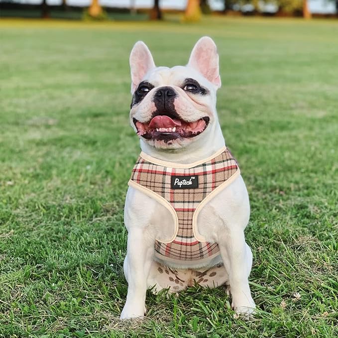 PUPTECK Soft Mesh Dog Harness and Leash Set Pet Puppy Cat Comfort Padded Vest No Pull Harnesses, Khaki, L