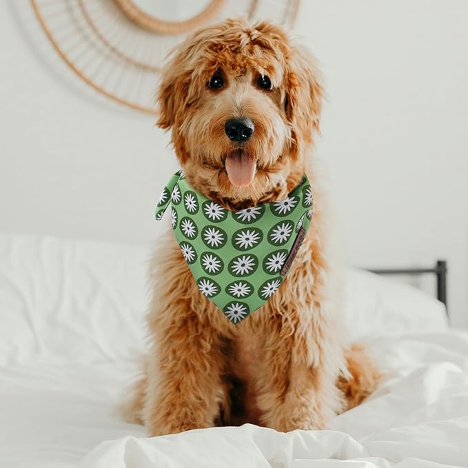 Large Spring Dog Bandanas 4Pack,Dog Scarf,Dog Bandanas boygirl,Premium Durable Fabric,Adjustable Fit,Unique Shape,Suitable for All Kinds of Dogs,Provide Various Sizes(Large)