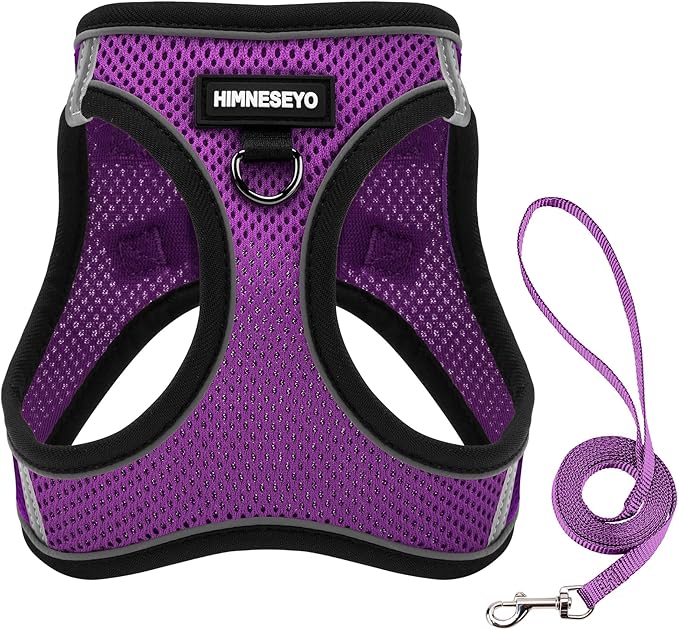 Dog Harness and Leash Set, Dog Harness for Dogs No Pull, No-Chock Step-in Reflective Breathable Lightweight Easy Walk Vest Harnesses with Safety Buckle for Small Medium Dogs, Cats (Purple, XS)