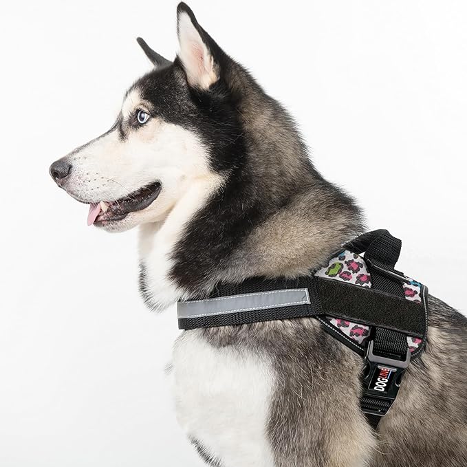 Dogline Dog Harness, Reflective No-Pull Adjustable Vest with Handle for Walking, Training, Breathable, No - Choke Harness for Small, Medium or Large Dogs Room for Patches Leopard Rainbow S 18"-24"