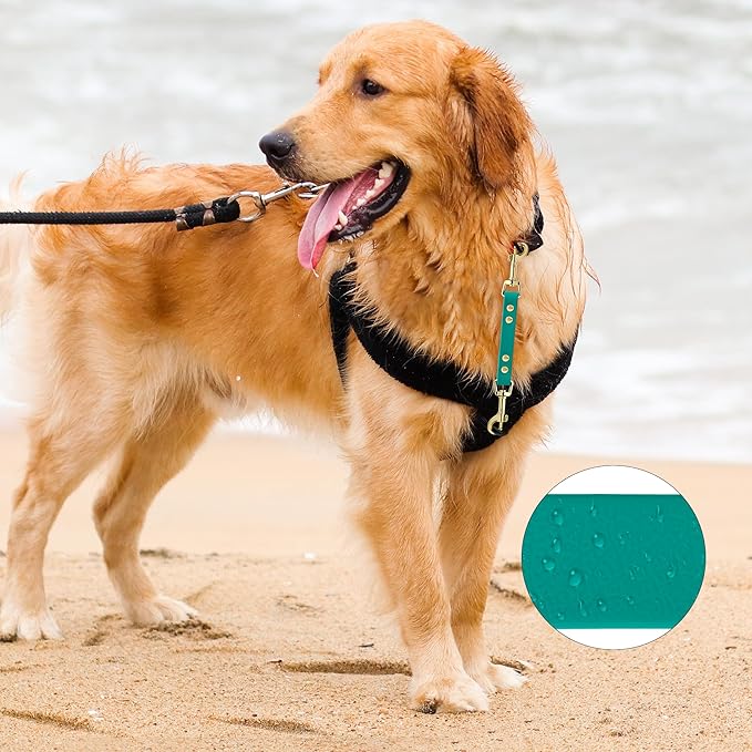 PetBonus Dog Collar Safety Clip, Waterproof Backup Safety Strap for Dog Harness to Prong Collar, Odor Proof Double Ended Clasp Leash Connector for Training Walking (Green)