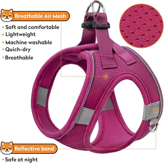 Dog Harness with Leash Set, No-Pull Step-in Reflective Pet Harness with 1 Leash Clips, Adjustable Soft Padded Easy Walk Dog Vest for Small Medium Large Dogs, Cats(Rose Red, Large)