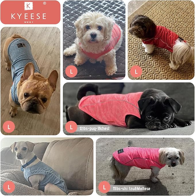 KYEESE 2Pack Dog Shirt for Small Dogs Sports Athletic Breathable Shirts with Reflective Stripe Athletic Tank Top Lightweight Dog Clothes,Grey+Blue,L