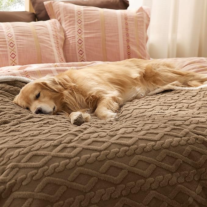 Bedsure Waterproof Dog Blankets for Large Dogs - Pet Blanket for Bed Protector Washable, Premium Jacquard Coral Fleece Cat Throw Blanket, Soft Plush Reversible Furniture Protection,60"x80" Taupe