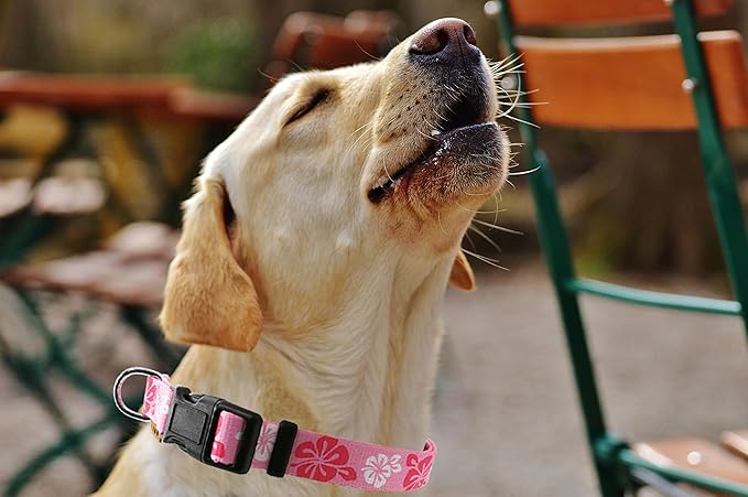Dog Collar, Cute Floral Pattern, Soft and Adjustable Collar with Quick Release Buckle (L (Neck 16-28", Width 1"), Hawaiian Pink)