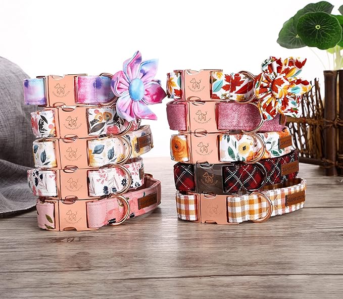 Elegant little tail Colorful Dog Collar for Female or Male Dogs, Flower Pet Collar Adjustable Dog Collars Gift for X-Small Dogs and Cats