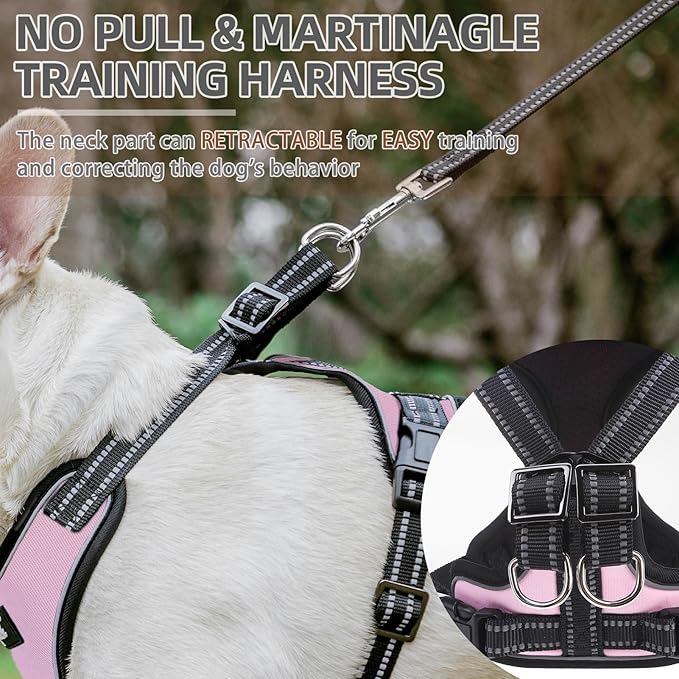 PUPTECK Dog Harness and Leash Set for Small Medium Sized Dogs, No Pull Dog Harness for Walking Training, Adjustable Reflective Puppy French Bulldog Frenchie Harness Soft Padded Vest, Pink, M