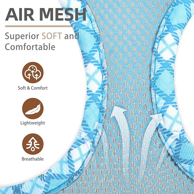 PUPTECK Dog Harness and Leash Set for Small Medium Dogs No Pull Step-in Soft Mesh Puppy Cat Vest Harnesses Reflective at Night, Sky Blue, S