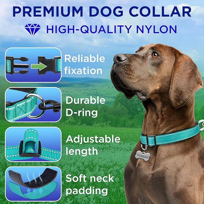 TECEUM Reflective Dog Collar – Aquamarine – M – Extra Soft Padding – Basic Nylon Pet Collar – Quick Release Buckle – Fits Small, Medium and Large Dogs, Puppies, Cats – ESA & Service Dog Options