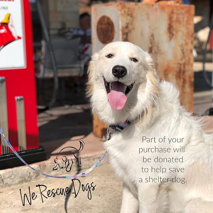 Lucky Love Dog, Adjustable Fun Style Collar and Leash Set for Dogs, Bright Color Matching Dog Collar and Leash - (Medium, SOCO Combo)