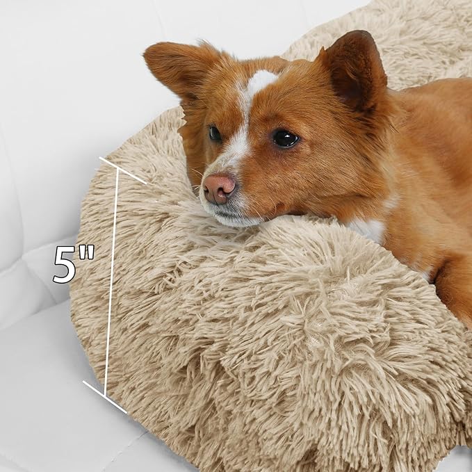 Calming Dog Bed Fluffy Plush Dog Mat for Furniture Protector with Removable Washable Cover for Large Medium Small Dogs and Cats (XS (31"x23.5"x5"), Beige)