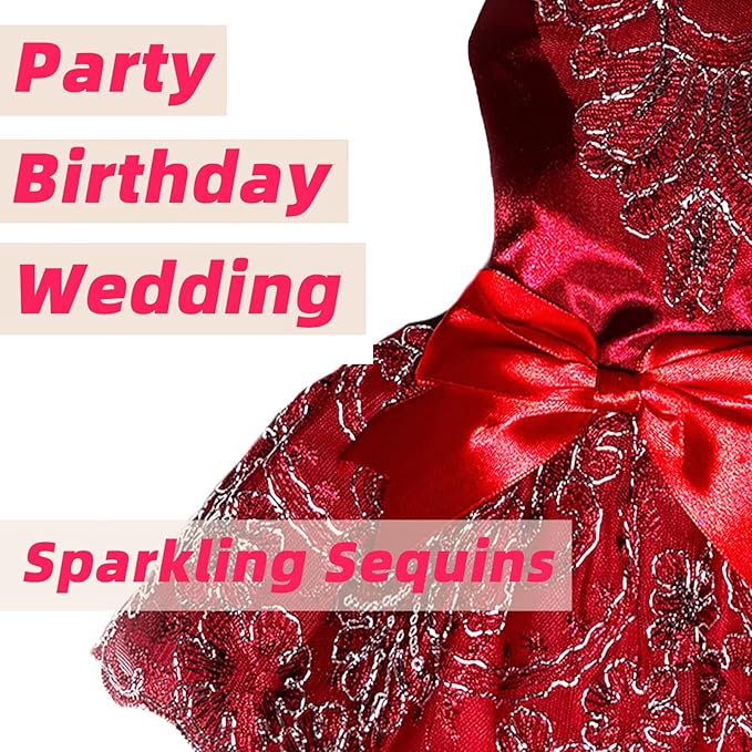 Lolita Luxury Dog Princess Dress for Small Dogs Girls,Embroidered Sweet Pet Clothes Wedding Birthday Party Puppy Dresses,Cat Apparel Accessories Costumes Outfit Skirt（Red,X-Small）