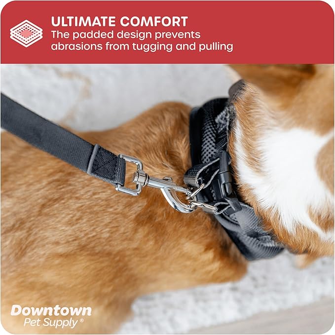 Downtown Pet Supply Step in Dog Harness for Small Dogs No Pull, Medium, Charcoal - Adjustable Harness with Padded Mesh Fabric and Reflective Trim - Buckle Strap Harness for Dogs