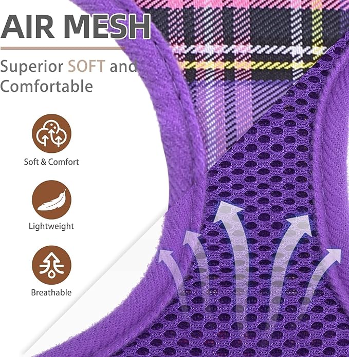 PUPTECK Soft Mesh Dog Harness and Leash Set Pet Puppy Cat Comfort Padded Vest No Pull Harnesses, Purple, XS