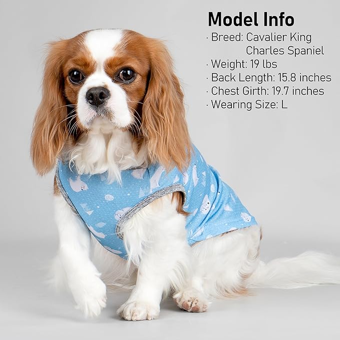 KYEESE 2 Pack Dog Cooling Shirts Breathable Instant Cooling Dogs Vest Lightweight for Summer Dog Clothes