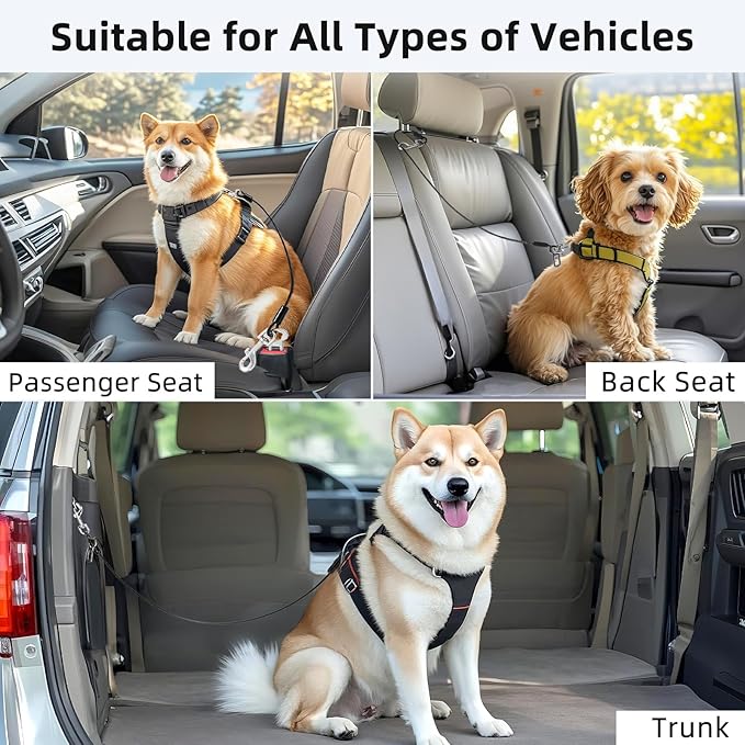 Dog Seat Belt for Car, 32" Chew-Proof Coated Wire Dog Car Leash Seat Belt, Dog Leash with Buckles and Latch, Safety Harness for Small, Medium, Large Dog or Cat, Travel, Black, 1 Pack